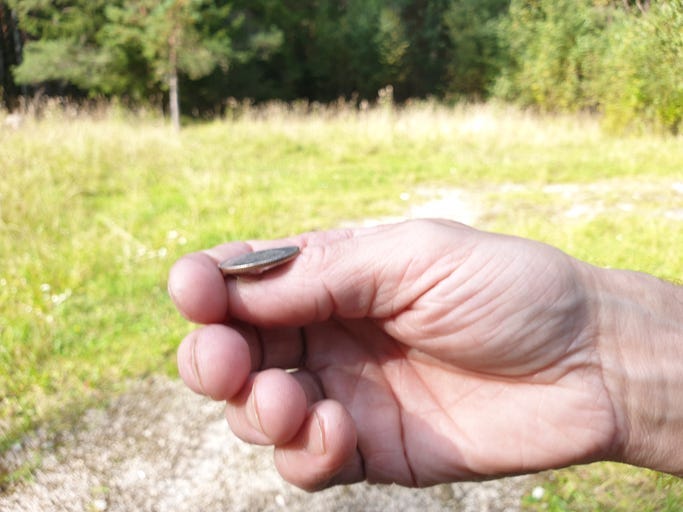 People Are Happier When They Make Big Decisions by Flipping a Coin