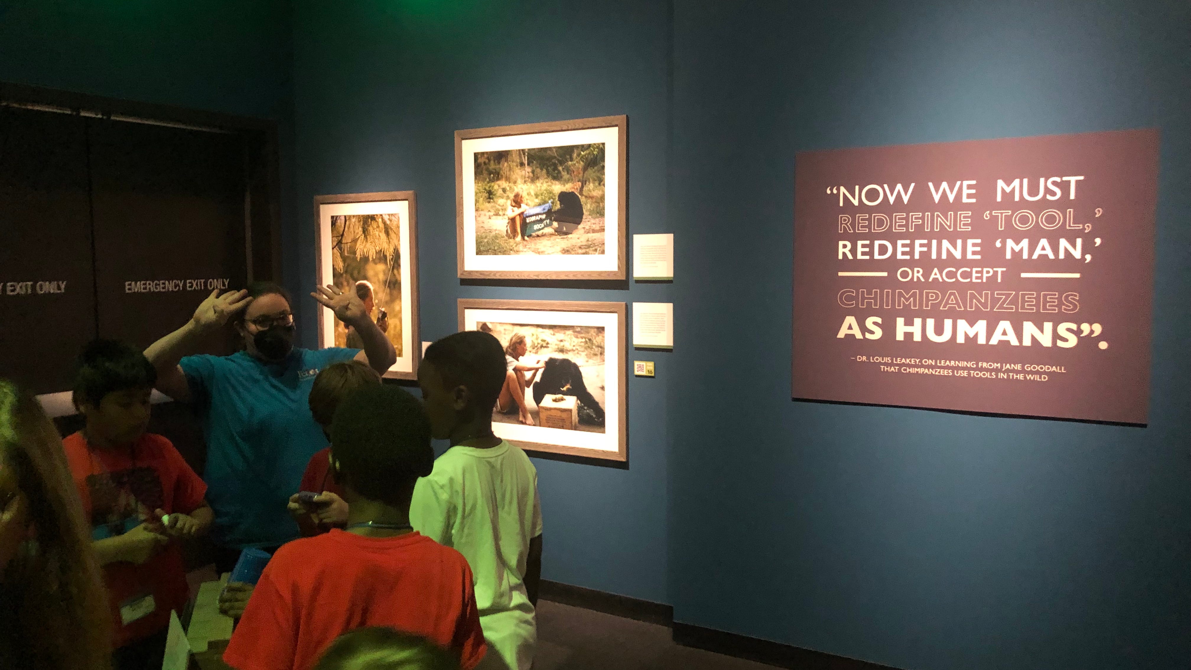 Perot Museum to open exhibit about research of Jane Goodall