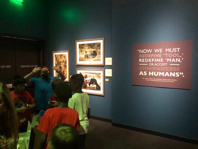 Perot Museum