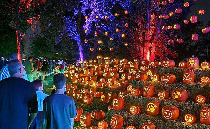 Tons of carved pumpkins