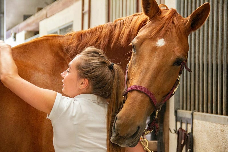 A measure awaiting Gov. JB Pritzker would mandate that certain insurance plans cover hippotherapy and other therapeutic horseback riding treatments.