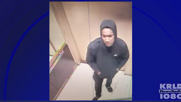 Dallas Police search for person who stabbed woman multiple times
