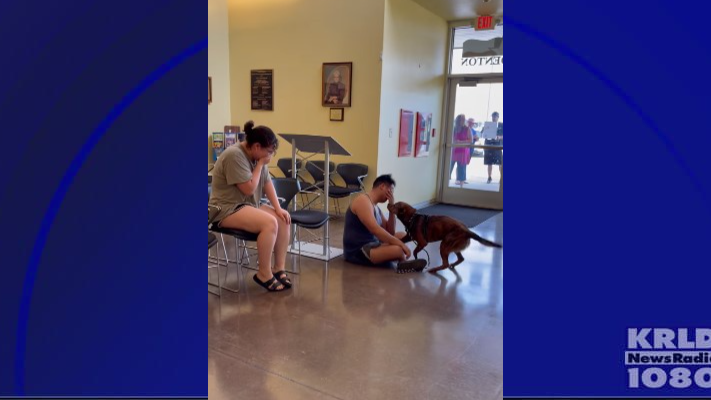 MUST WATCH: Dog Reunites with owner after six months in wilderness