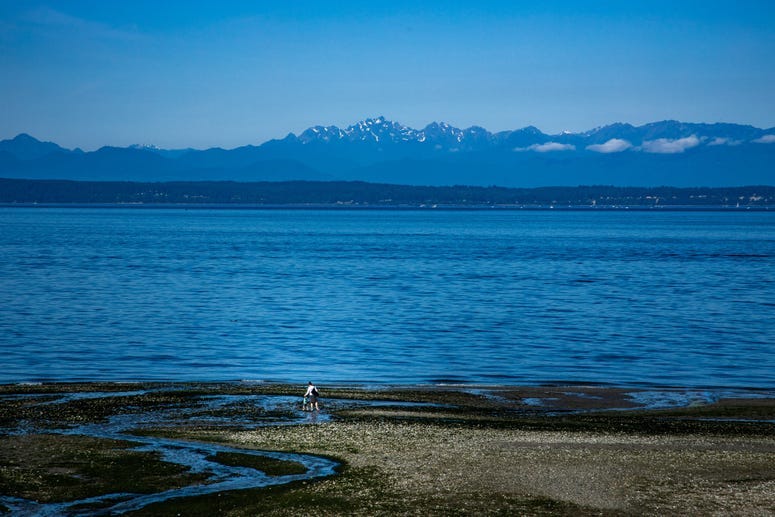 Washington Coastline
