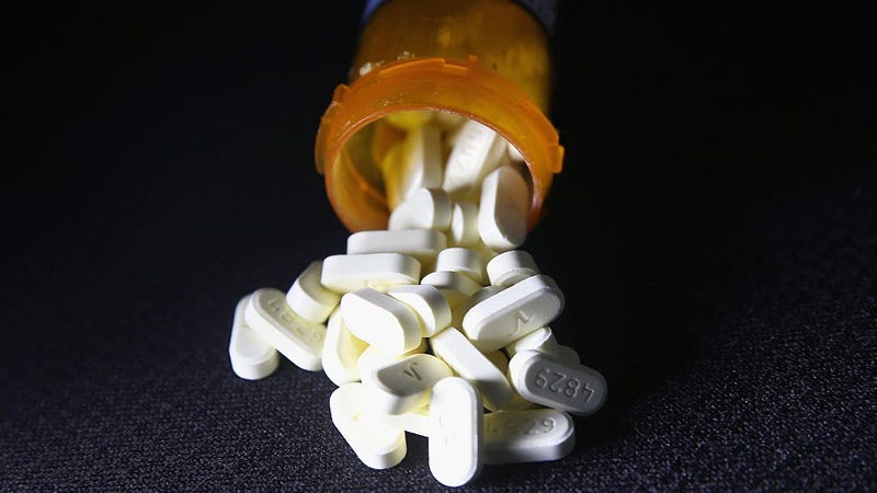 Oxycodone pain pills prescribed for a patient with chronic pain lie on display on March 23, 2016 in Norwich, CT. 