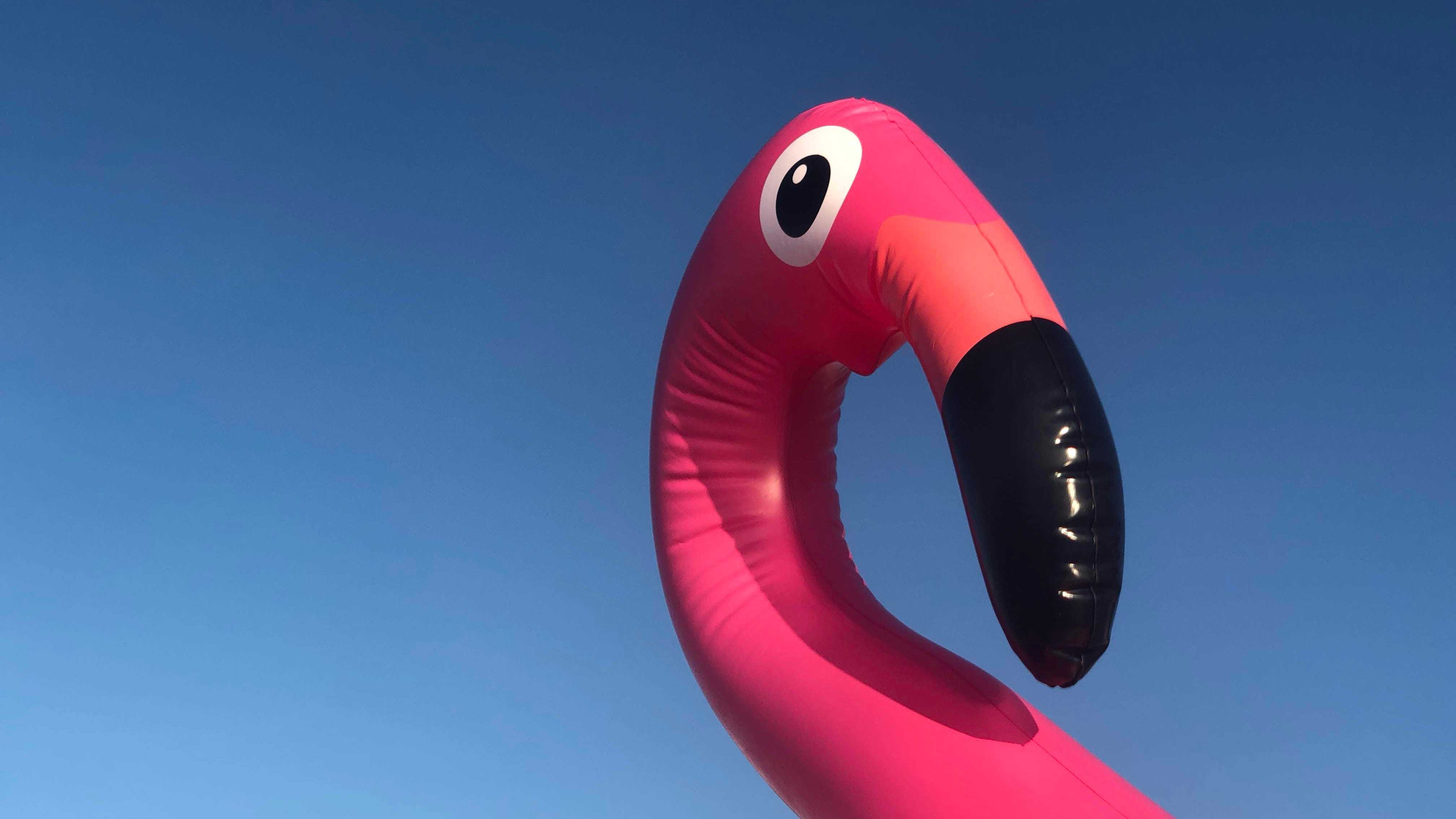 3 people and 2 dogs on pink flamingo raft swept out to sea, rescued by helicopter