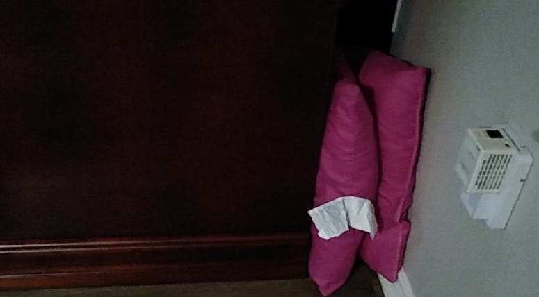 Pink Pillow