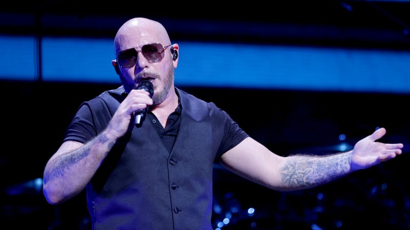 Pitbull