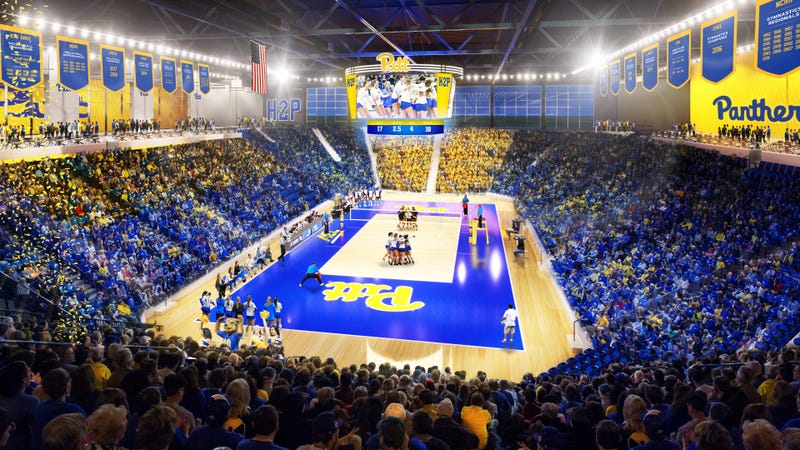 A mock of Pitt's new 3500-seat arena for volleyball, gymnastics and wrestling 
