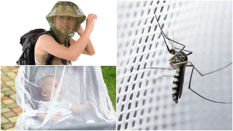 Netting Helps! 