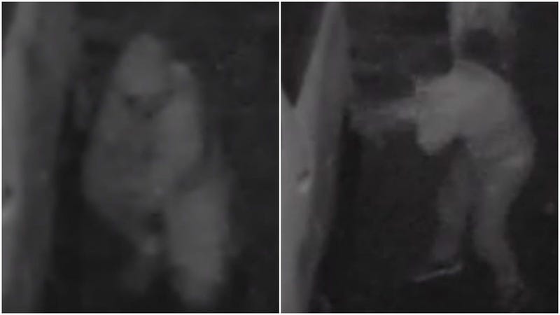 Images of vandalism suspects