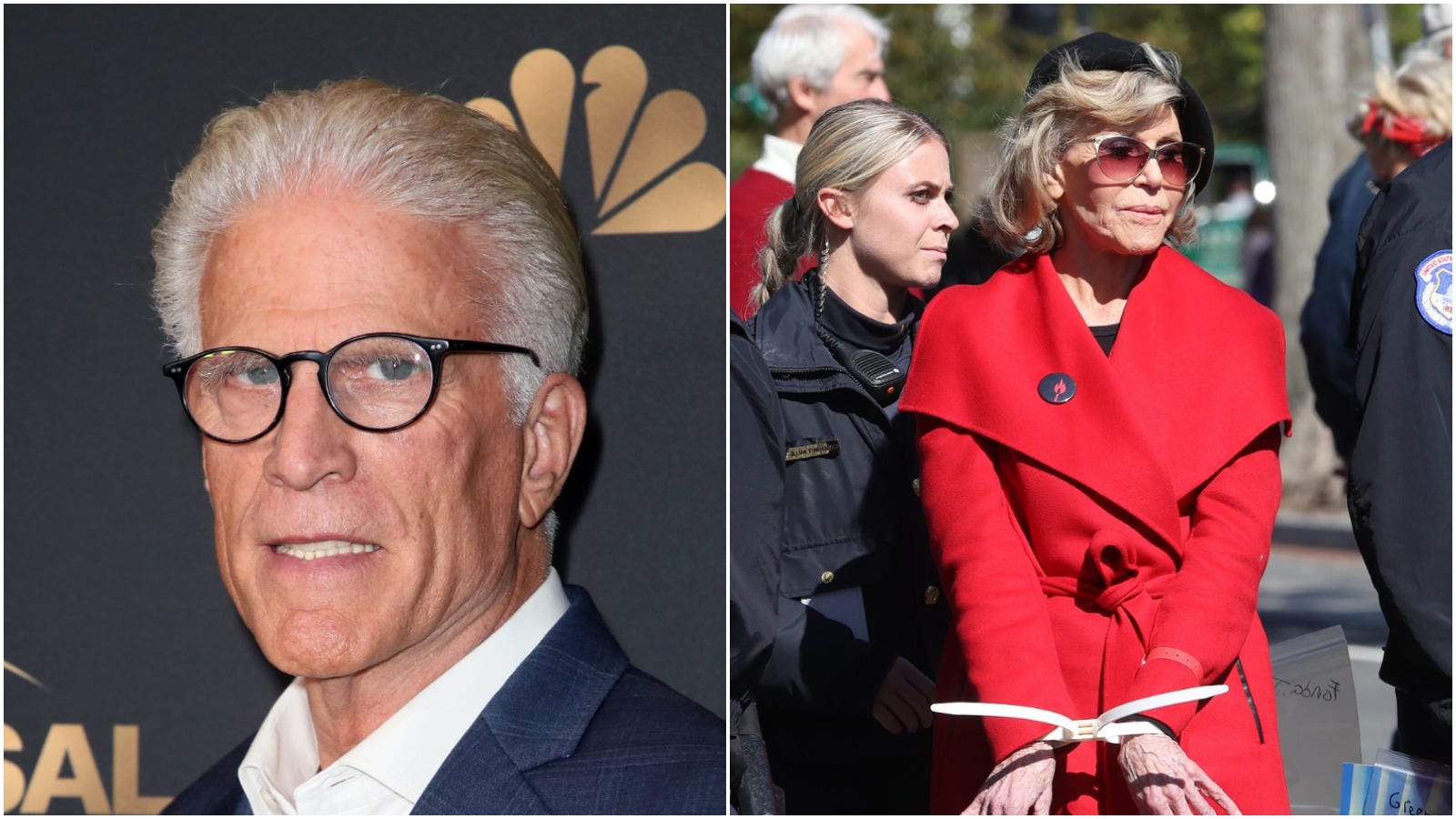 Ted Danson and Jane Fonda Arrested in DC Climate Demonstration