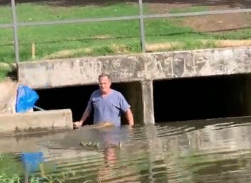 Man saves ducks