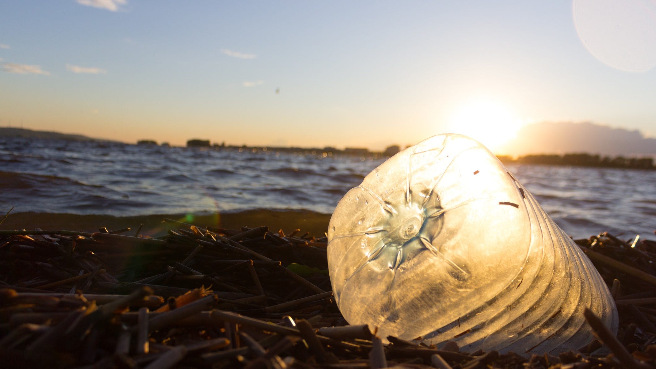 Shedd challenges consumers to go plastic-free in July