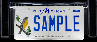 Kirtland's warbler plate