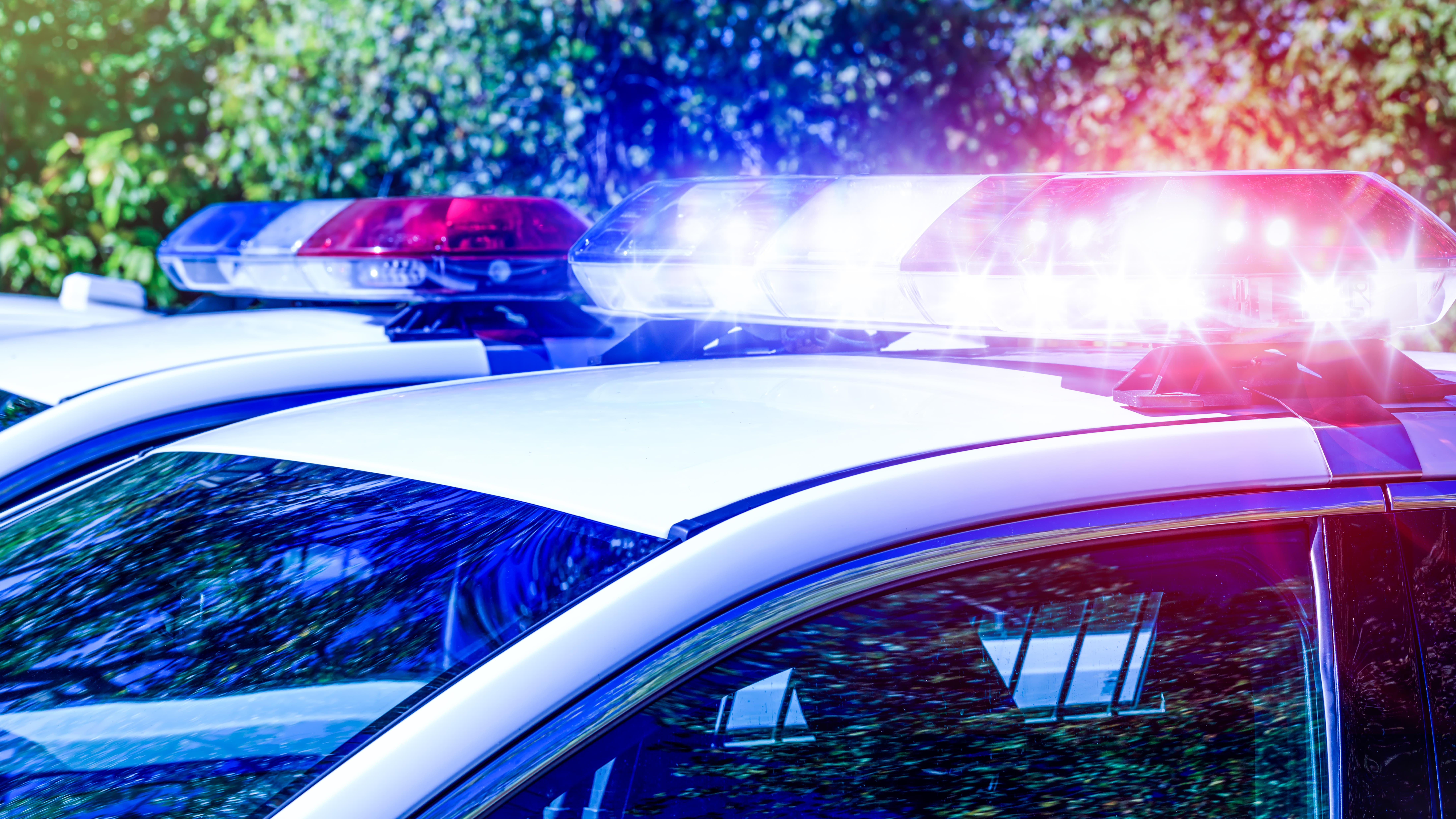 Police pursuit ends in Plainfield with crash, arrest