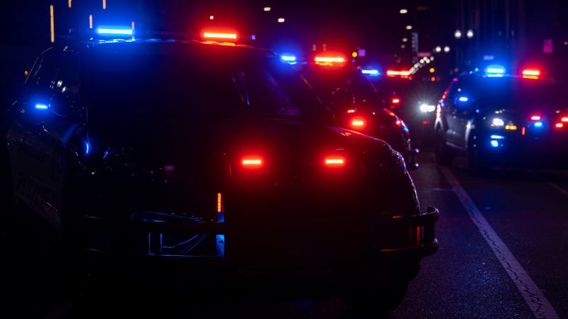 Multiple police cars with red and blue lights on street at night