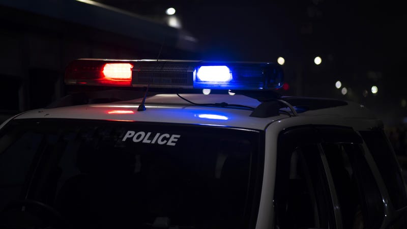 Police car on street - stock photo