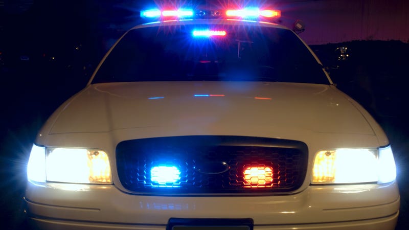 Police car lights - stock photo