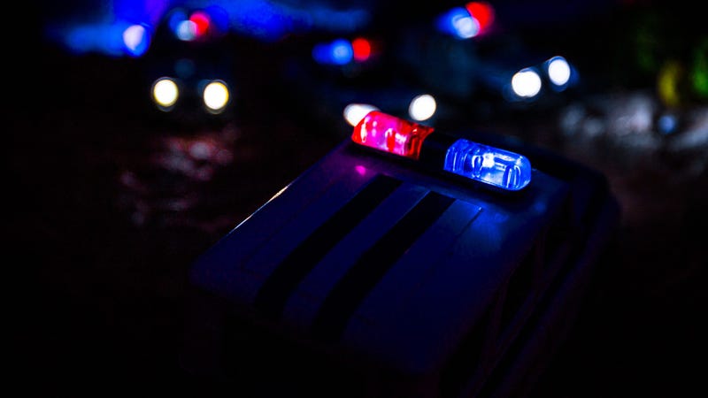 Police cars at night - stock photo