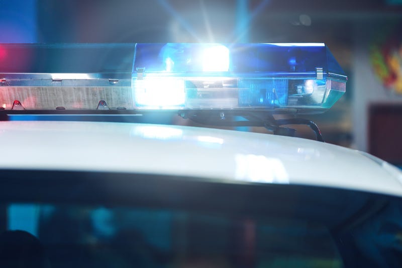 police car