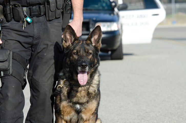 Police