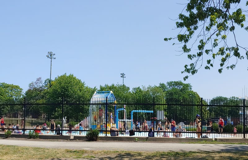 pool and fence