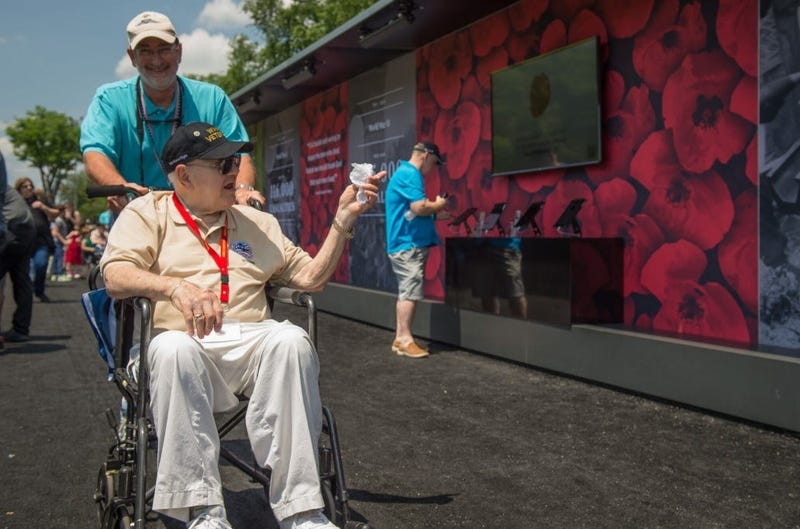 A veteran takes in the Poppy Wall of Honor in 2018