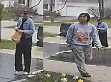 Images from surveillance video of porch pirates