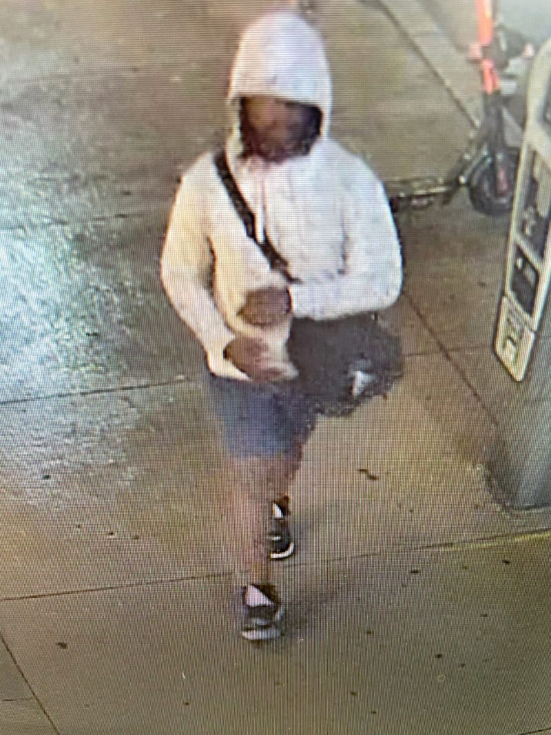 Man suspect in assaults on women in Ann Arbor