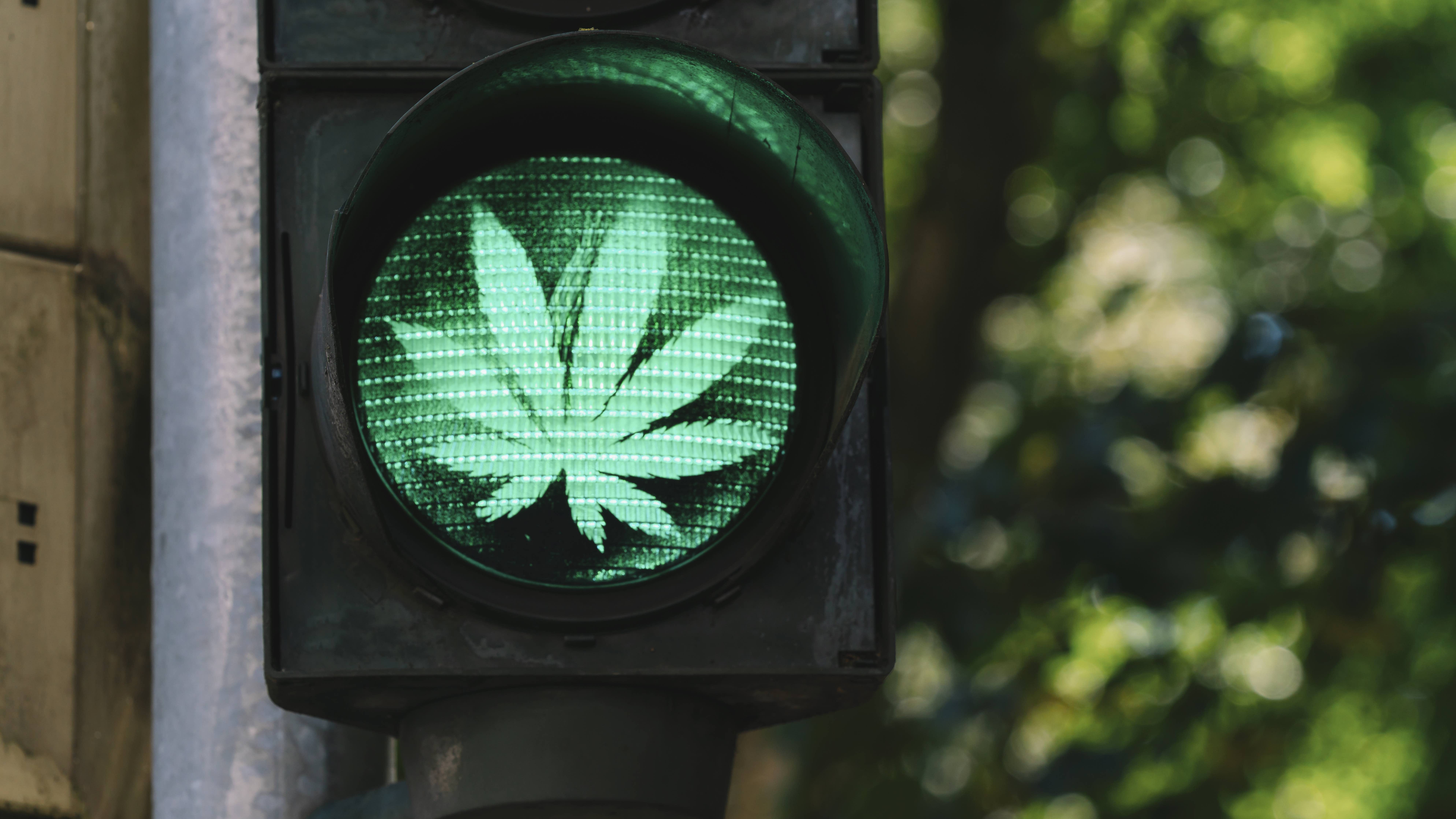 Drivers on weed take more risks, AAA says