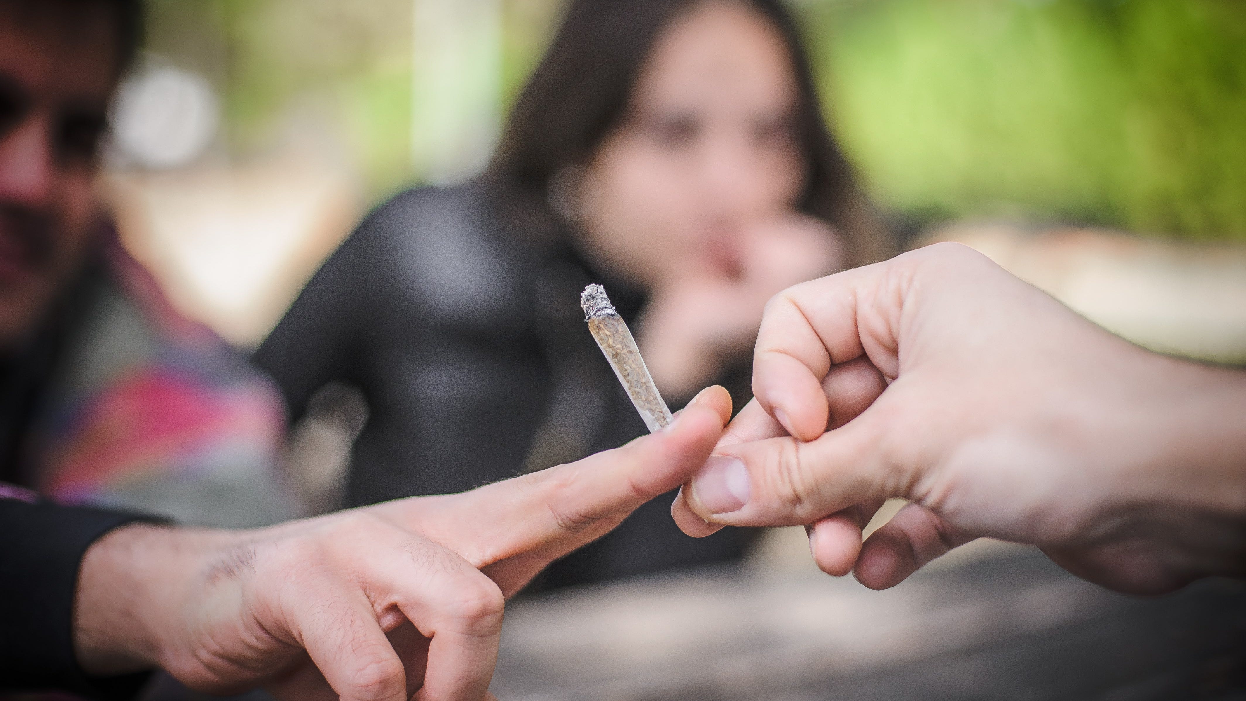 Pot-smoking to be front and center at north suburban music fest this weekend