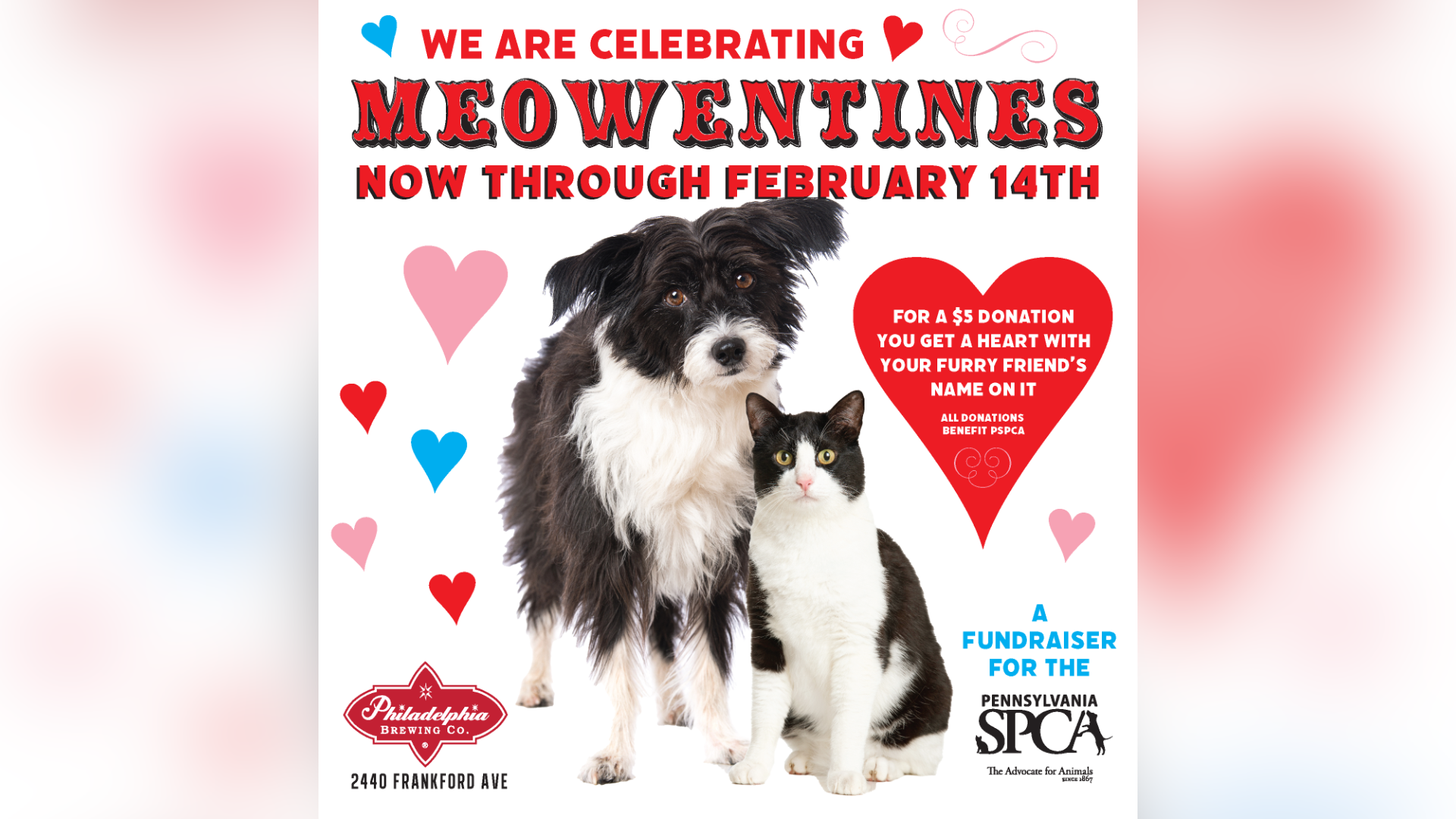 PSPCA Meowentines