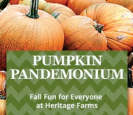 Pumpkin Pandemonium