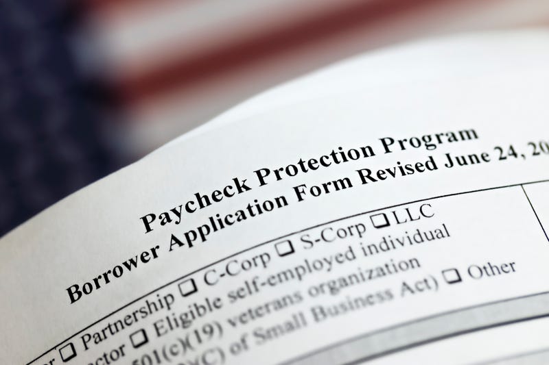 PPP loan page application