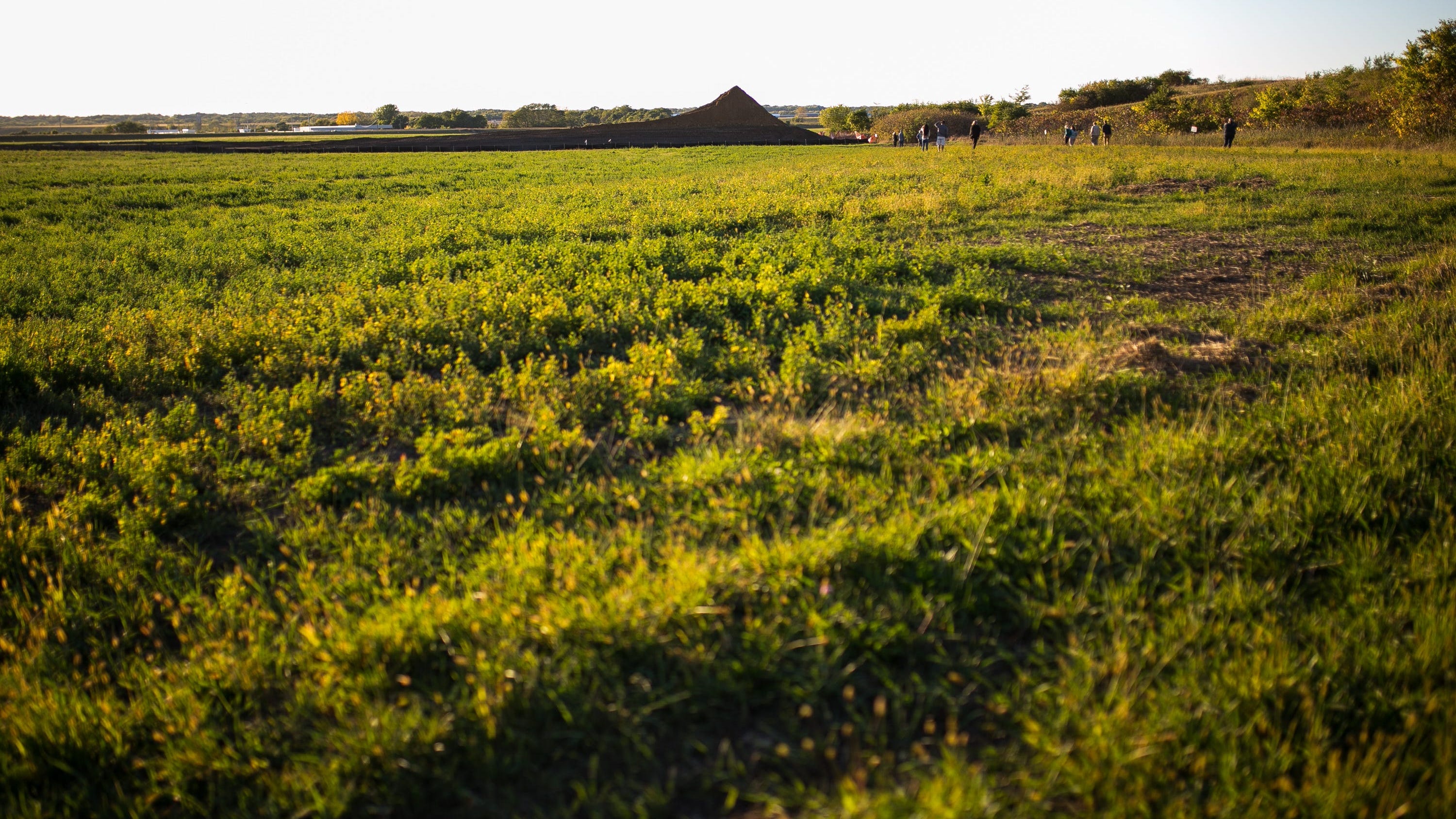 Environmentalists make latest attempt to save prairie near airport