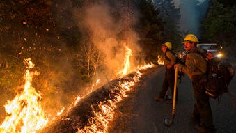 Man gets 24 years in prison for fire that killed 12 condors