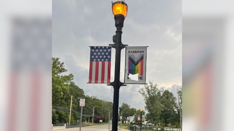 pride banners vandalized in Harrison Township