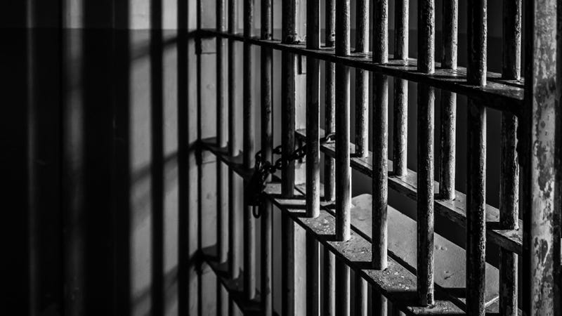 Prison Bars
