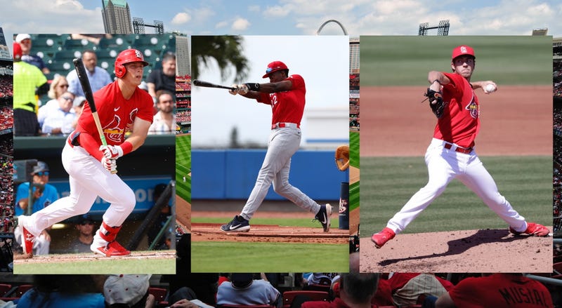 Cardinals prospects