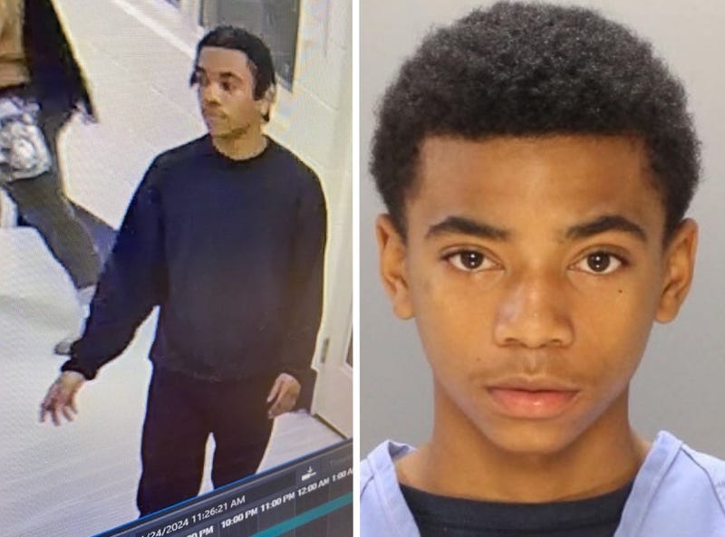 Shane Pryor mugshot and surveillance image