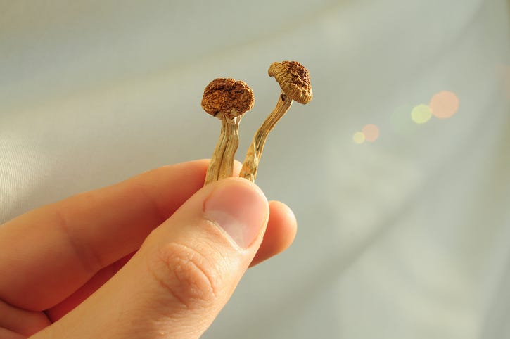 psychadelic mushrooms