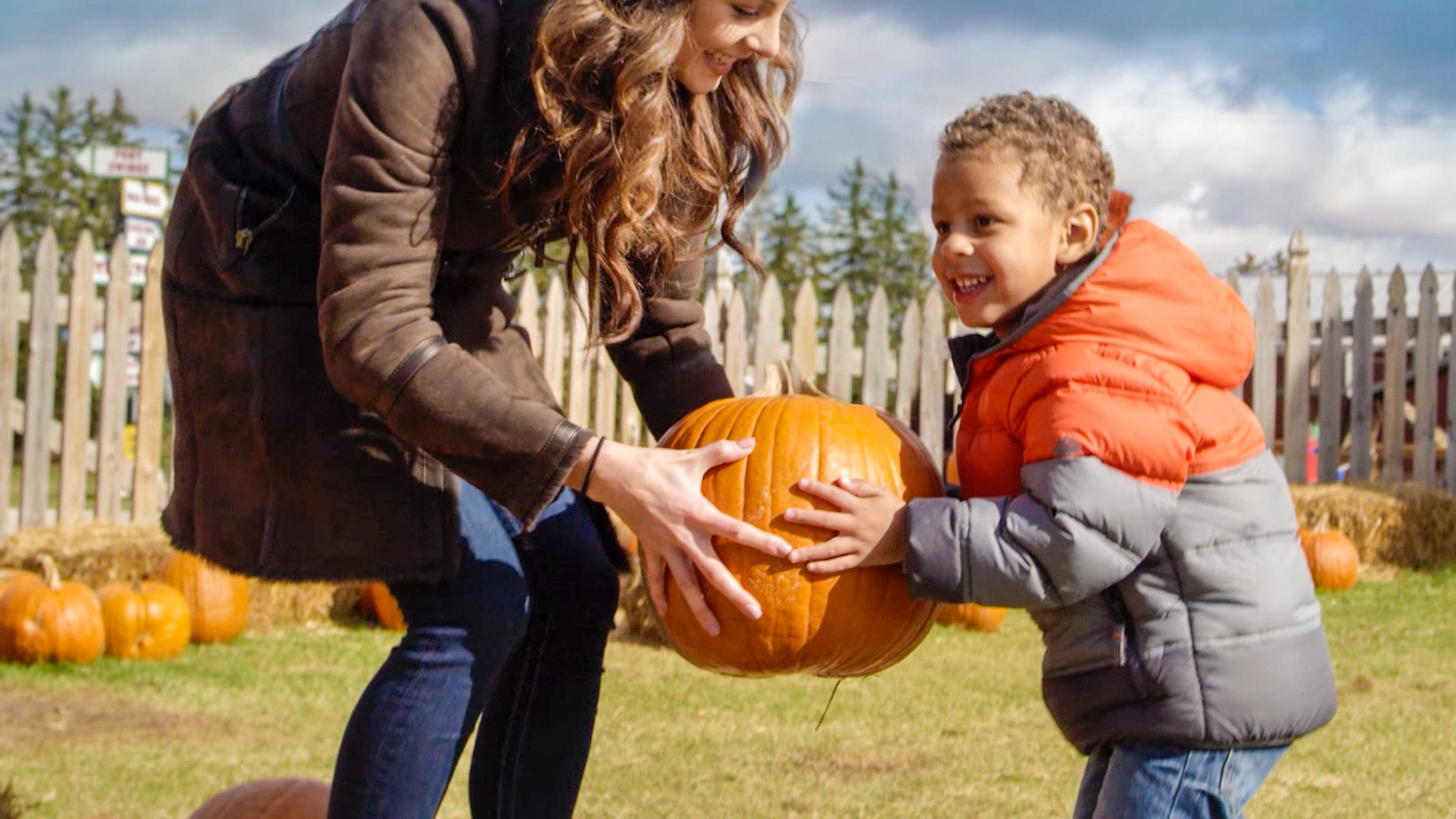 Apples, pumpkins and spooky events: Blake’s Orchard & Cider Mill announces fall schedule