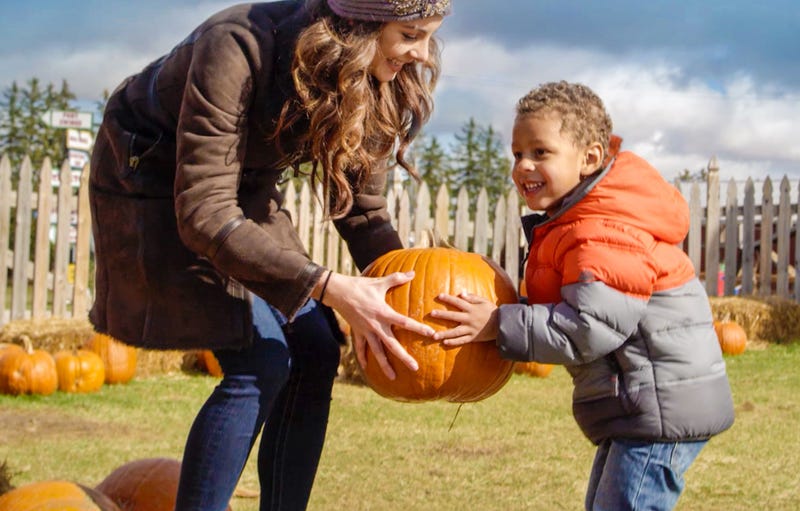 pumpkin picking