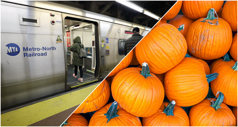 aA Bronx woman was sentenced to two years in prison for a 2021 pumpkin attack on a Metro-North conductor