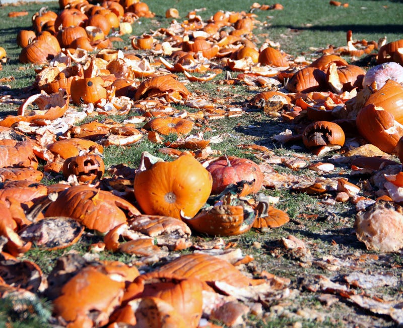 pumpkins