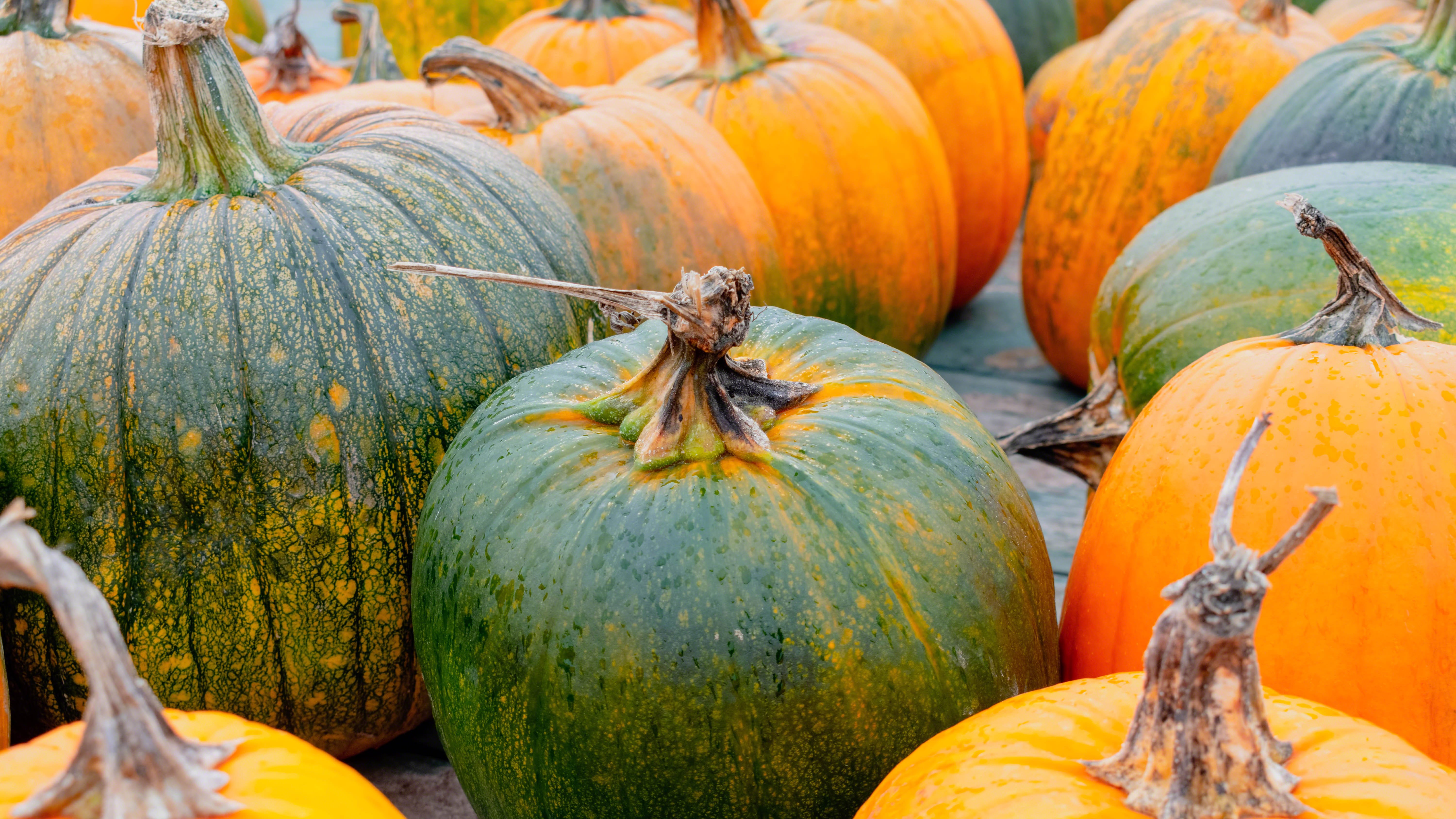 End of an era, as suburban farm stand closes for good