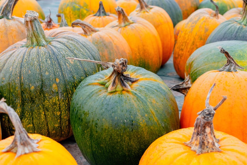 pumpkins
