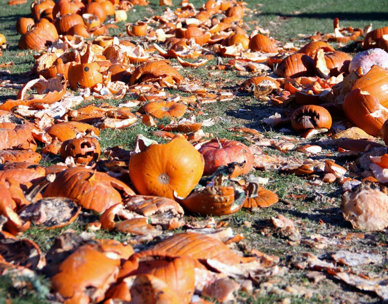 pumpkin remnants