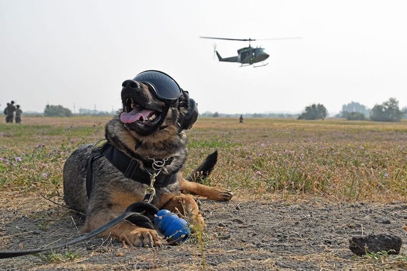 Do waiting to board a Huey